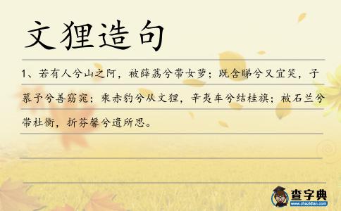文貍造句