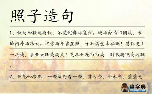 照子造句