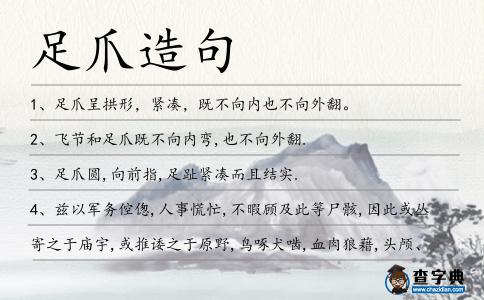 足爪造句