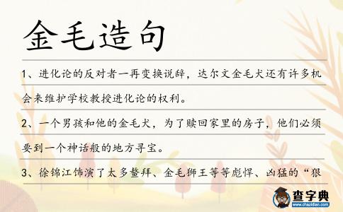 金毛造句