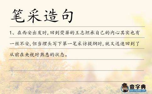 筆采造句