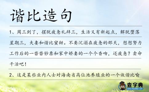 諧比造句