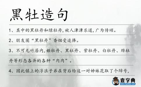 黑牡造句