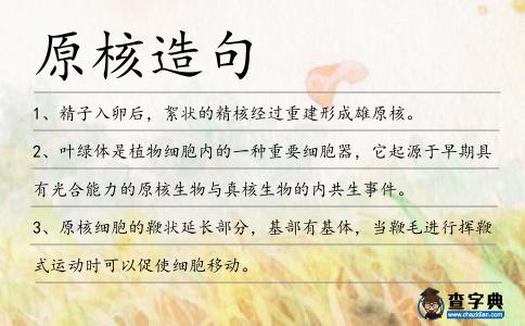 原核造句