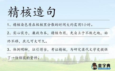 精核造句