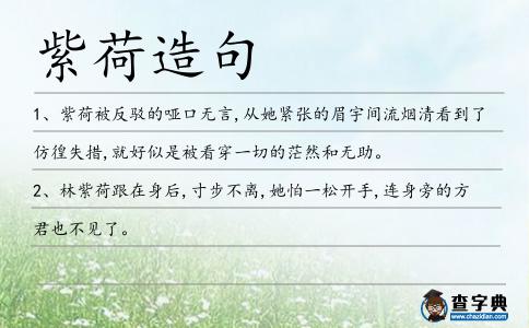 紫荷造句