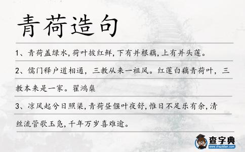 青荷造句