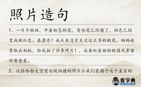 照片造句