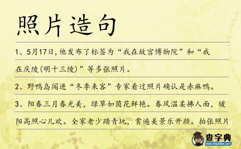 照片造句