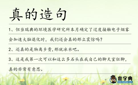 真的造句
