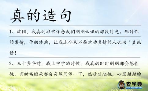真的造句