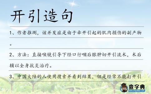 開引造句
