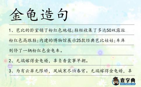 金龜造句