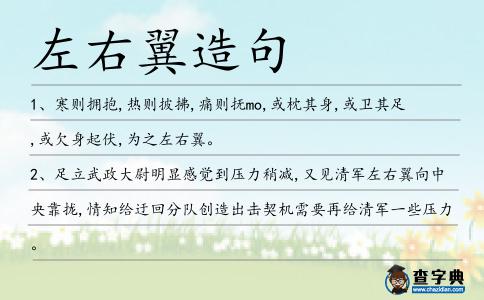 左右翼造句