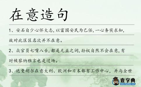 在意造句