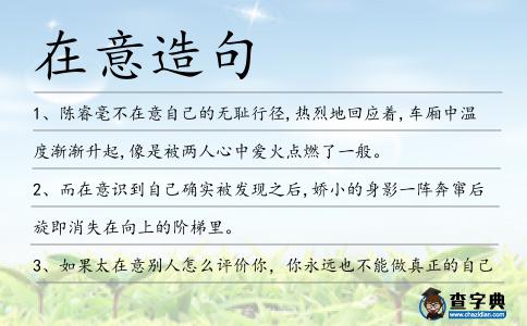 在意造句