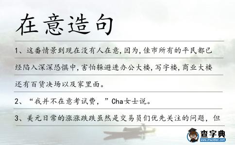 在意造句