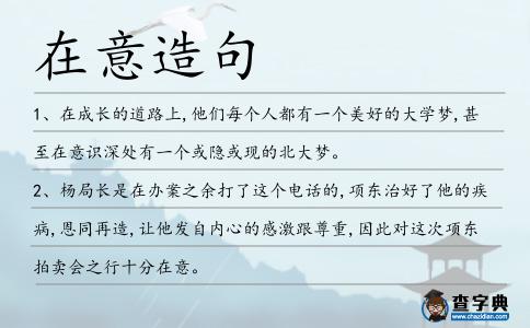 在意造句