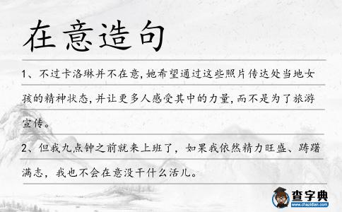 在意造句