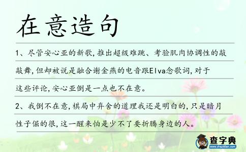 在意造句