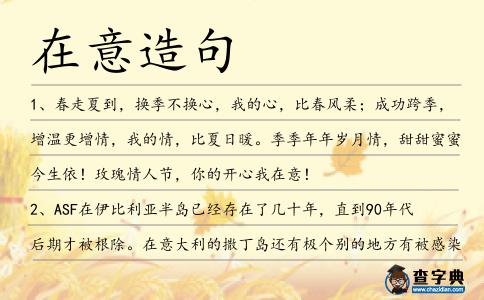 在意造句