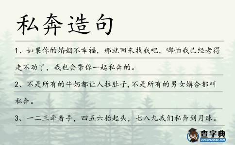 私奔造句