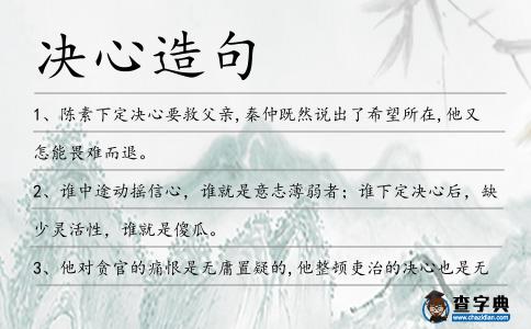 決心造句