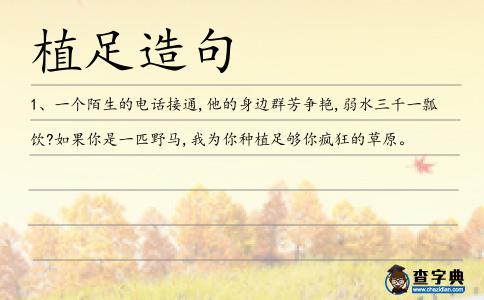 植足造句
