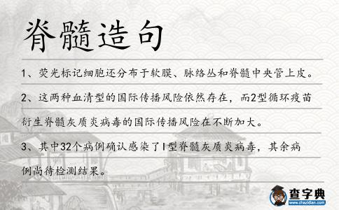 脊髓造句