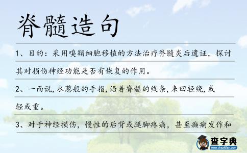 脊髓造句