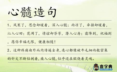 心髓造句