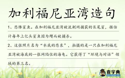 加利福尼亞灣造句