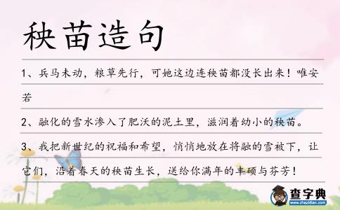 秧苗造句