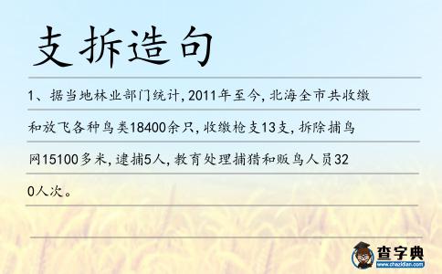 支拆造句