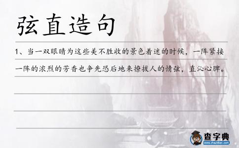 弦直造句
