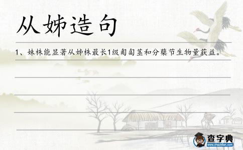 從姊造句