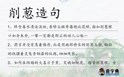 削蔥造句