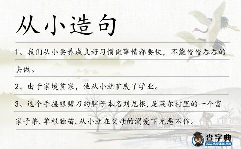從小造句
