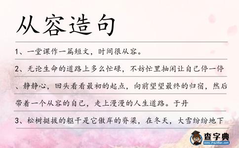 從容造句