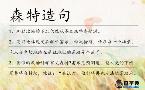 森特造句