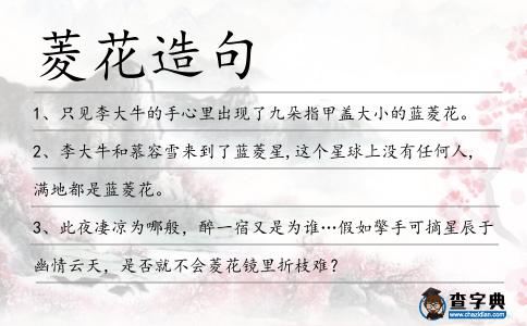 菱花造句