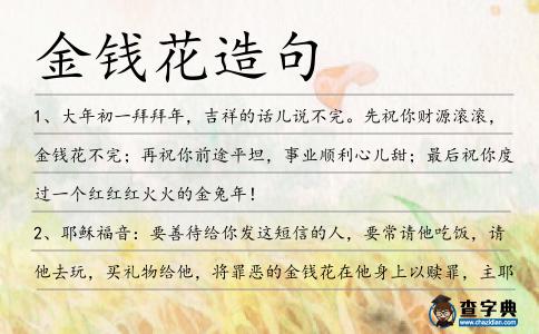 金錢花造句
