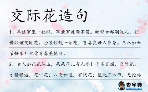 交際花造句
