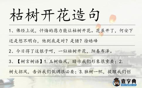 枯樹開花造句