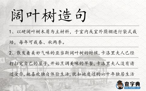 闊葉樹造句