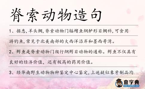 脊索動物造句