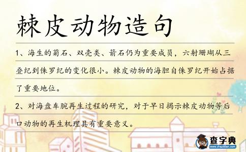棘皮動物造句