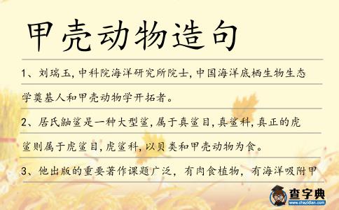 甲殼動物造句