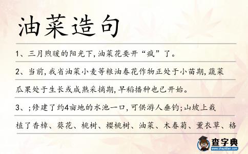 油菜造句