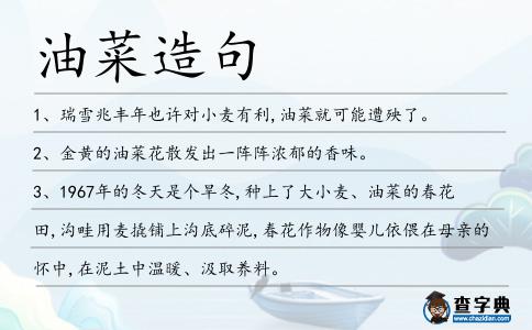 油菜造句